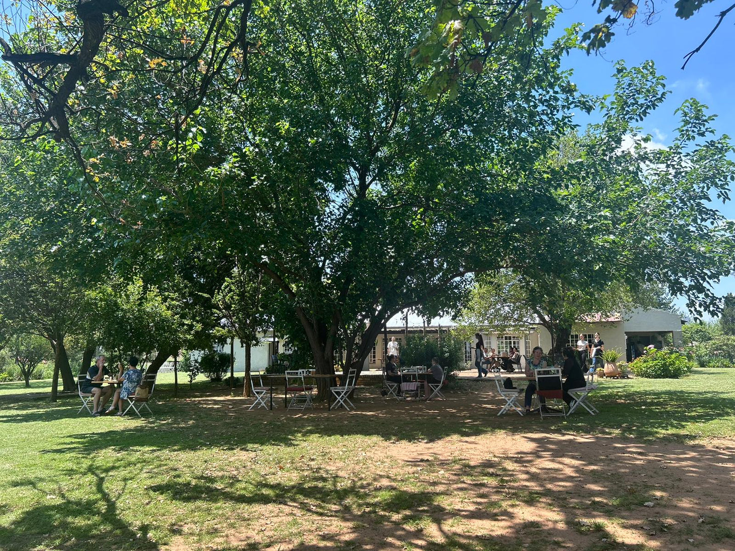 A view from the garden